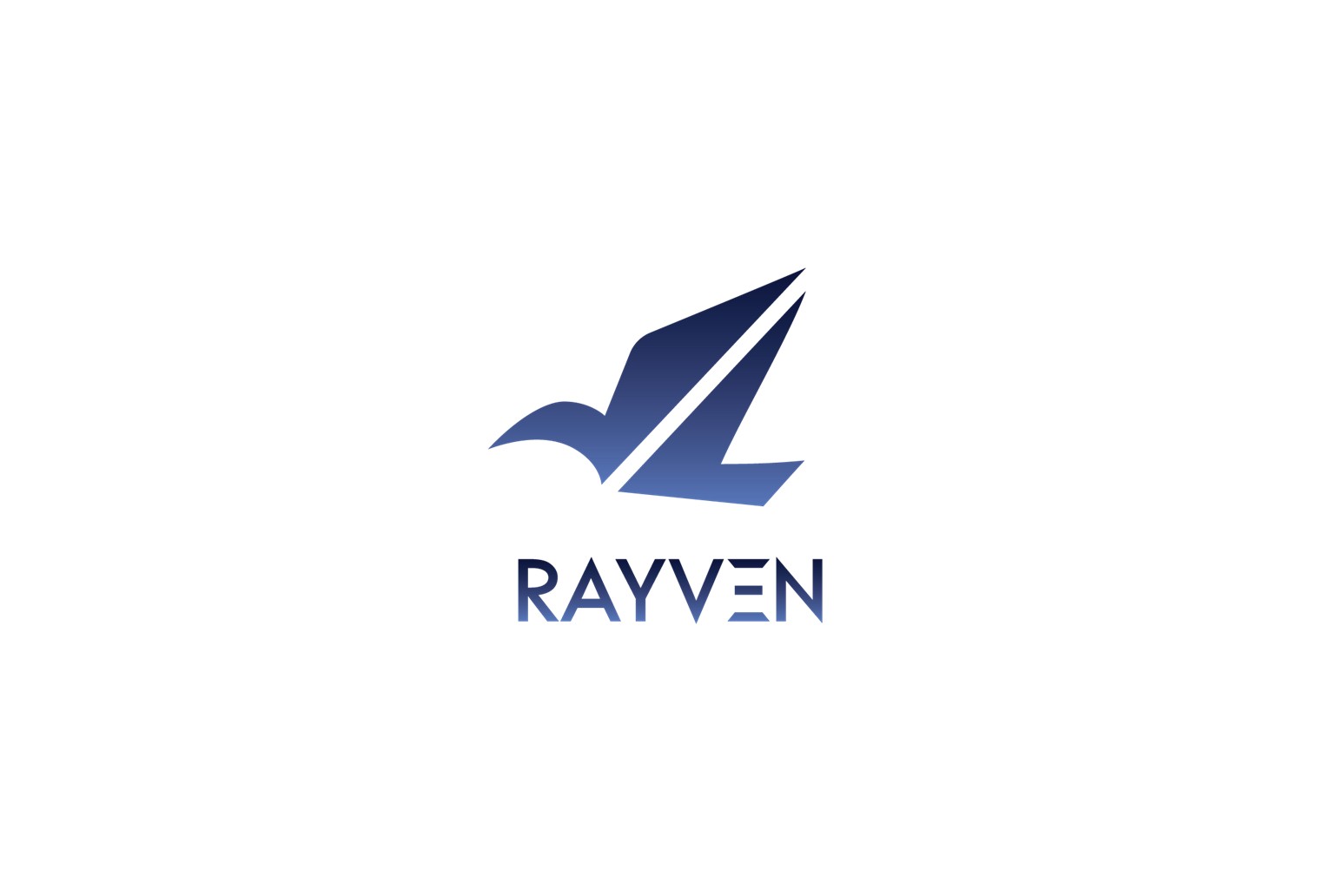 株式会社RAYVEN